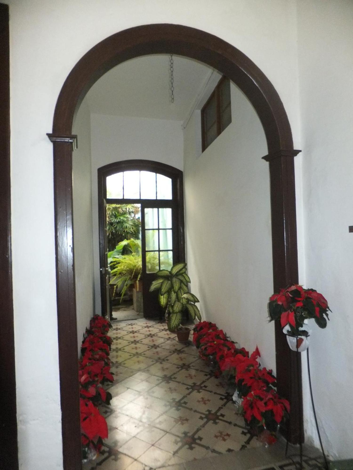 ホテル Casa Colonial Cejas サンタクルスデテネリフェ エクステリア 写真