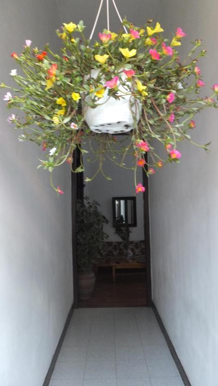 ホテル Casa Colonial Cejas サンタクルスデテネリフェ エクステリア 写真