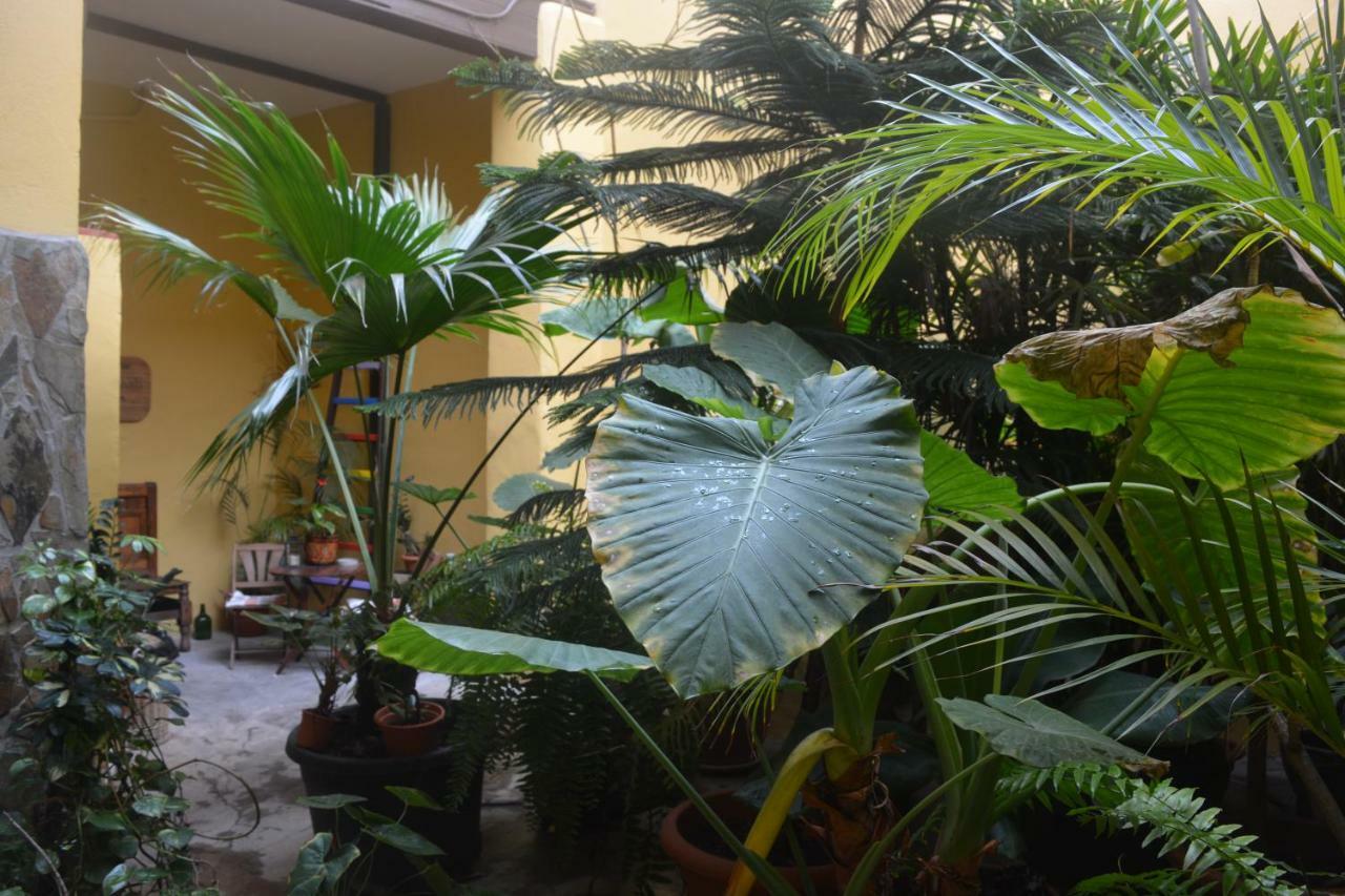 ホテル Casa Colonial Cejas サンタクルスデテネリフェ エクステリア 写真